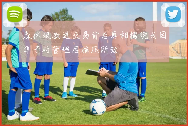 森林狼激进交易背后真相揭晓或因华子对管理层施压所致